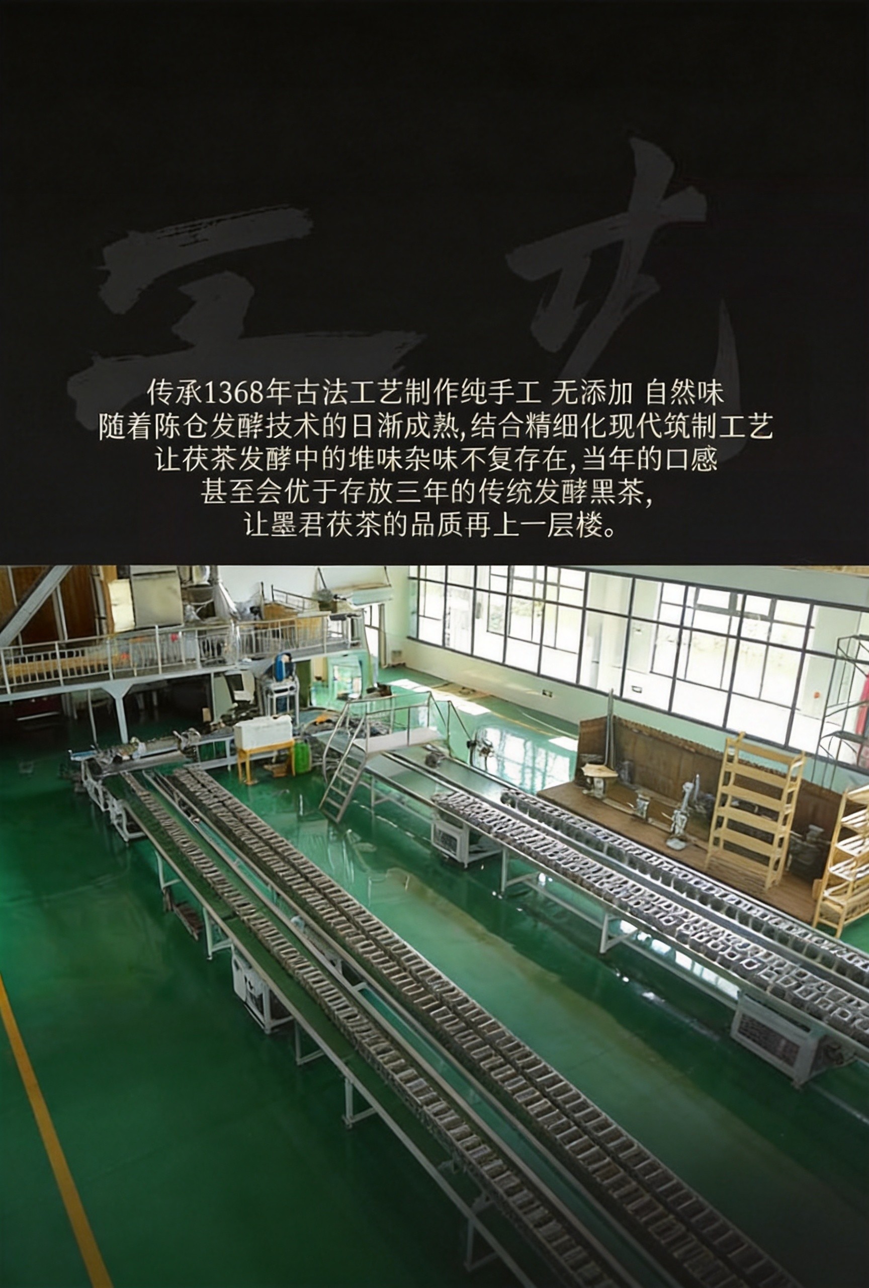 State-of-the-art Fu Tea production facility with automated lines and clean-room standards in Jingyang, Shaanxi